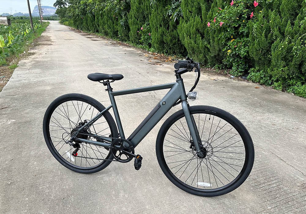 Freego E7 city bike