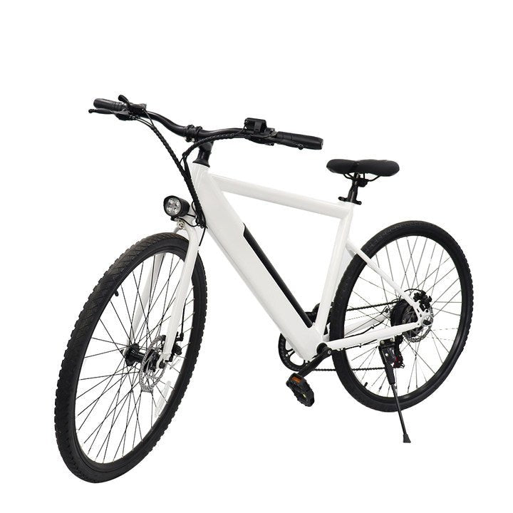 Electric Mountain Bicycle