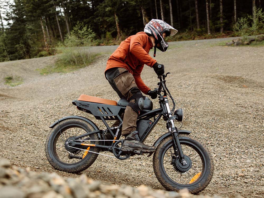 F3 pro electric dirt bike