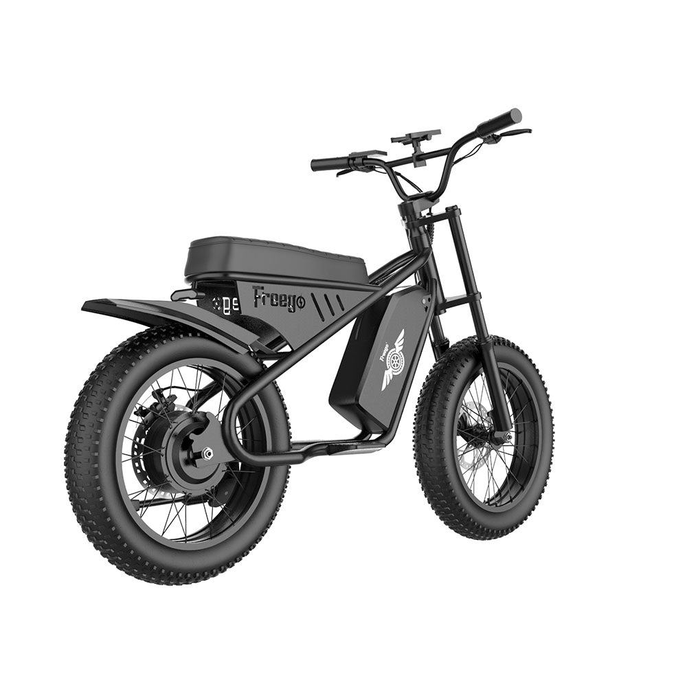 M1 electirc fat tire motorcycle